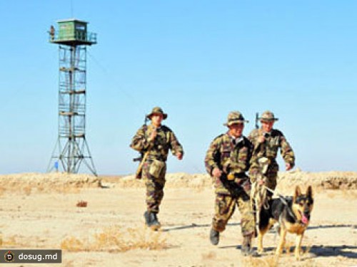 В Казахстане в связи с происшествиями на границе изменят законодательство