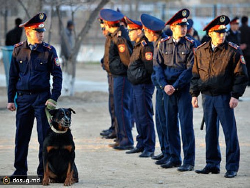 В Казахстане зарезали призера чемпионата мира по самбо