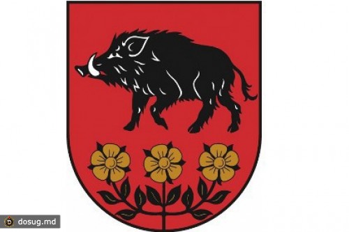 В Латвии разоблачили связь кабана с «советскими оккупантами»