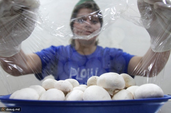 В Минске ответили на показанный Путиным снимок