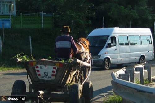 В Молдавии решили вешать на телеги государственные номера