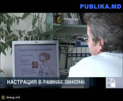 В Молдове вступил в силу закон о химической кастрации