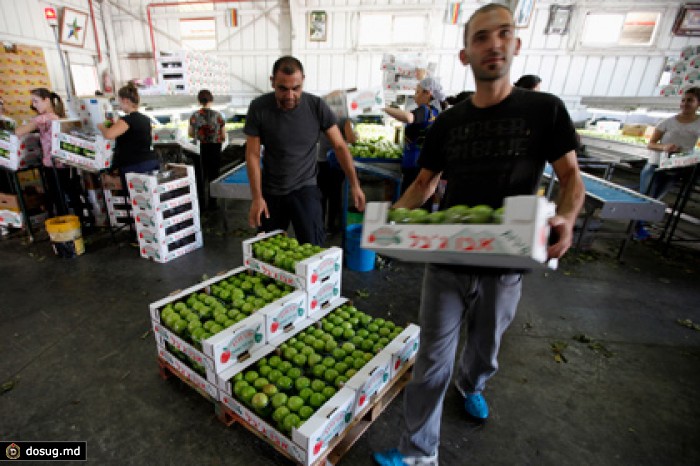 В Москве допустили отмену продовольственного эмбарго для некоторых стран ЕС