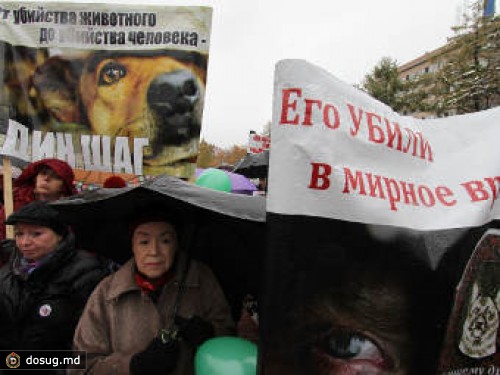 В Москве прошел митинг против догхантеров