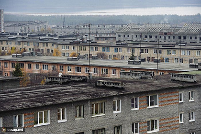 В Мурманске у активистов Greenpeace украли клетку