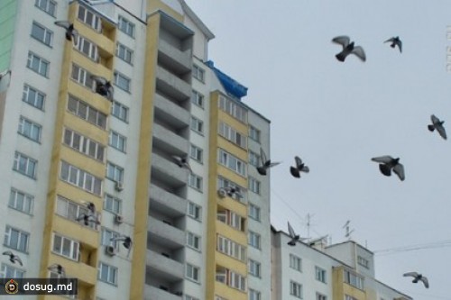 В Новосибирске возбуждено дело о доведении до самоубийства двух школьниц