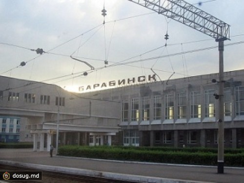 В Новосибирской области задержаны пьяные охотники на овец