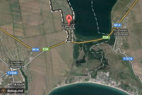 В Одесской области у китайских туристов отняли миллион долларов