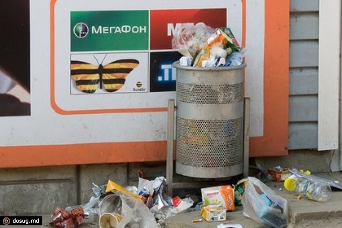 В Подмосковье собрались штрафовать за крупный мусор в урнах