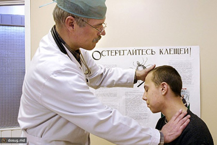 В России более 2,5 тысячи человек пострадали от укусов клещей