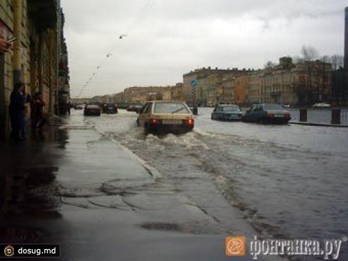 В Санкт-Петербурге ветром снесло остановку и новогоднюю елку