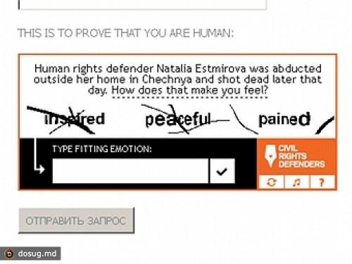 В Сети появилась правозащитная "капча"