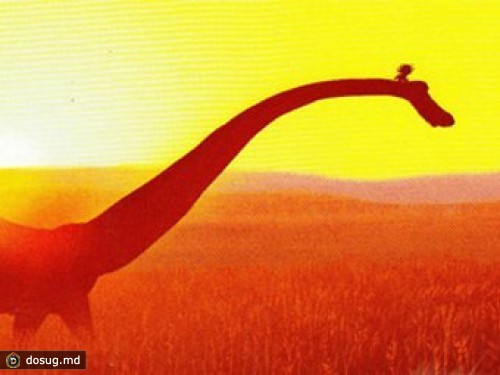 В Сети появился арт к новым мультфильмам Pixar