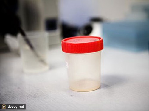 В Севастополе вышли на пикет обманутые доноры спермы