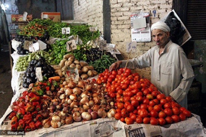 В Таможенном союзе задумались о создании зоны свободной торговли с Египтом
