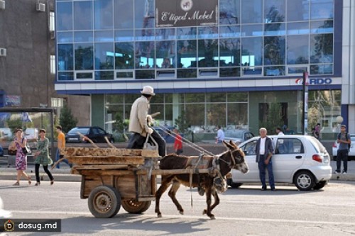 В Ташкенте регламентировали правила езды на ишаках