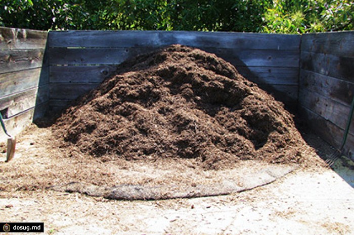 В Узбекистане школьникам поручили сдать по мешку навоза