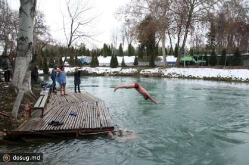 В Узбекистане смутивших сенаторов «моржей» попросили переехать к кладбищу