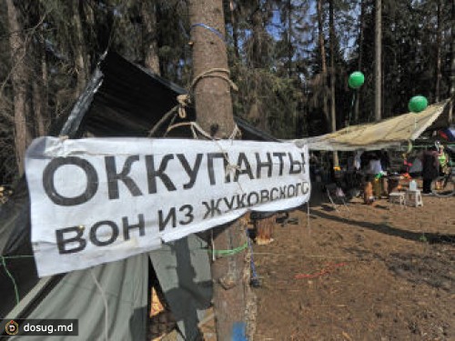 В Жуковском задержали противников вырубки Цаговского леса