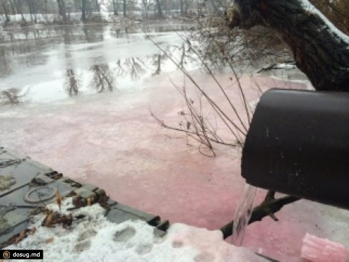 В киевской реке вода стала розовой. ФОТО