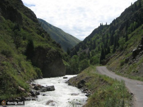 В национальном парке Казахстана обнаружили двенадцатый труп