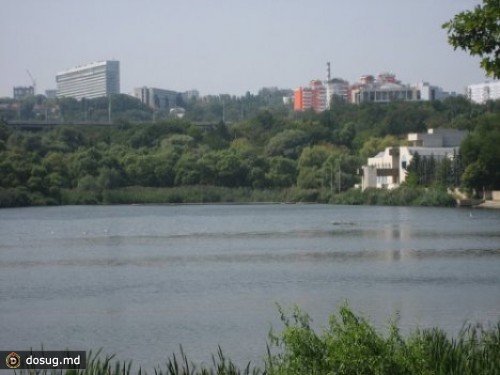 
 В парке "Долина роз" пройдет акция протеста
