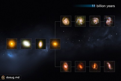 В ранней вселенной нашли все современные типы галактик