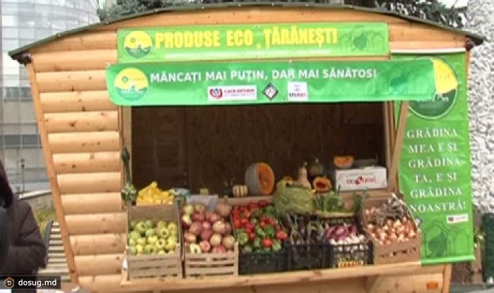 В республиканском центре ARTICO прошла ярмарка экологической продукции