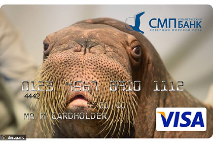 Visa заблокировала карты СМП-банка