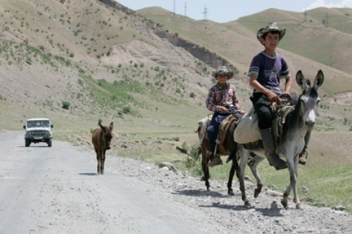 Все таджикские дороги обсадят лесами