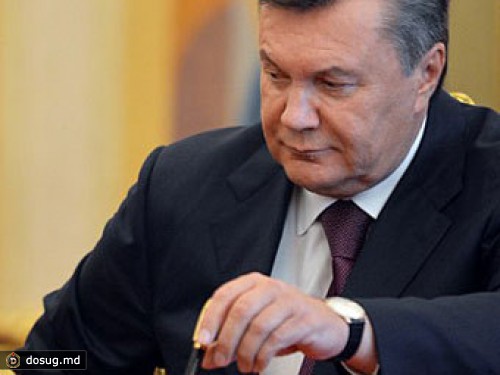 Янукович согласился адаптировать украинские законы к нормам ТС