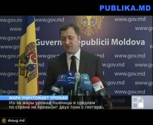 Жара уничтожает урожай, заявляет Влад Филат