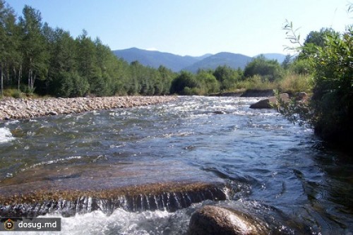 Житель Иркутской области обстрелял украинских волонтеров-экологов