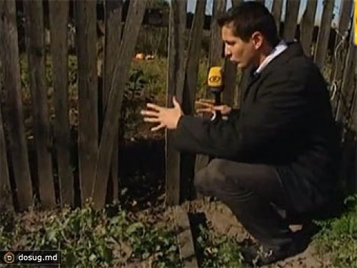 Жителей белорусского поселка мобилизовали на поимку "чупакабры"