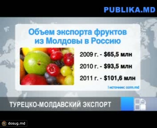 За последние годы экспорт молдавских фруктов в РФ увеличился в 30 раз