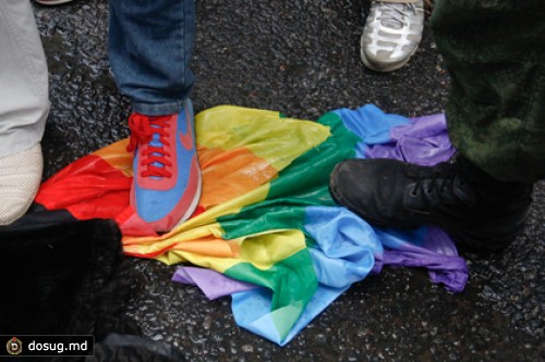 Задержанных под Мурманском голландцев отпустили без суда