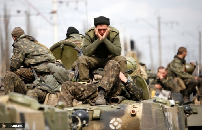 Захваченные в Краматорске БМД вернут министерству обороны Украины