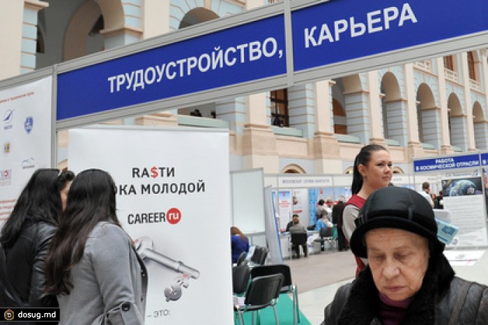 Законопроект об ограничении на работу не по профессии решено смягчить