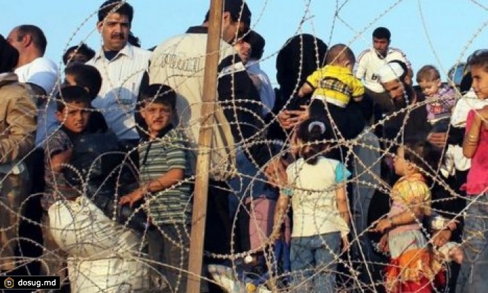 Amnesty International призывает ЕС не закрывать внешние границы