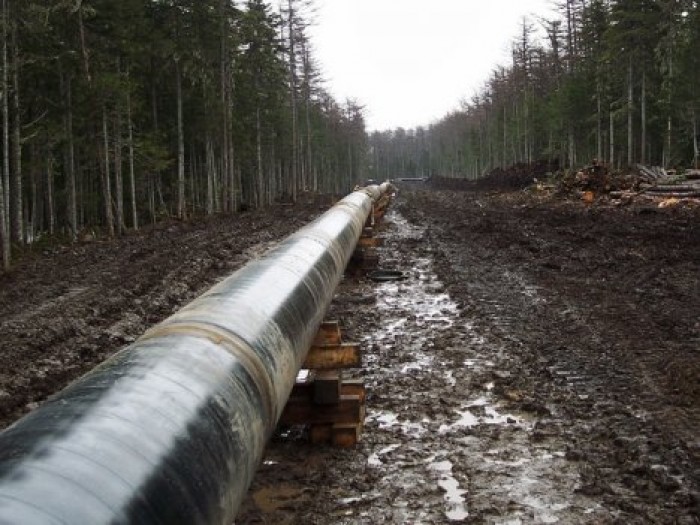 Белоруссия в 1,5 раза повышает цены на транзит российской нефти