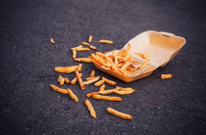 Быстро поднятое упавшим не считается? - ученые проверили справедливость правила пяти секунд