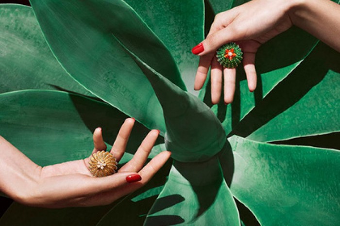 Cartier создал золотые суккуленты