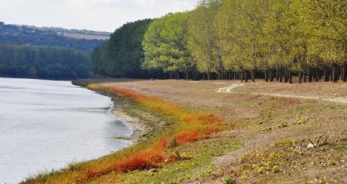 Днестр мелеет из-за действий Украины