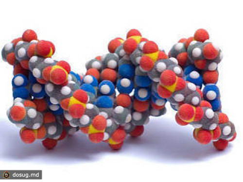 ДНК оказалась прекрасным нанопроводом