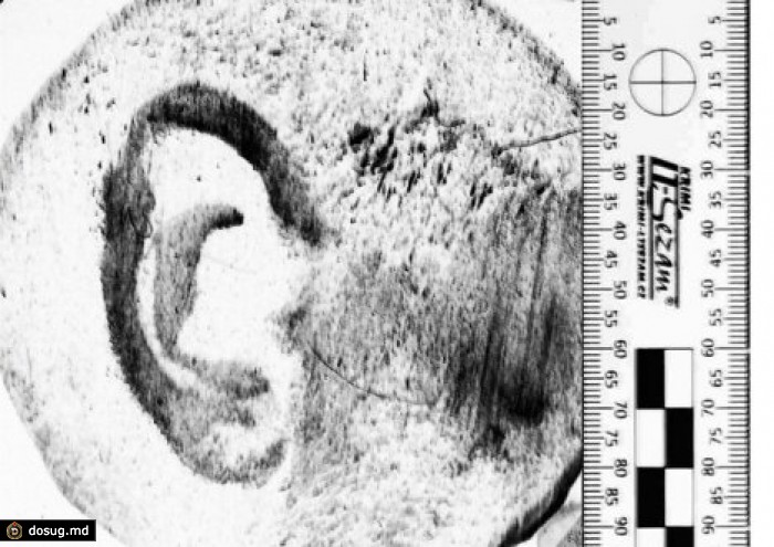 След головы. Следы ушей в криминалистике. Уши криминалистика. Ушные раковины криминалистика.