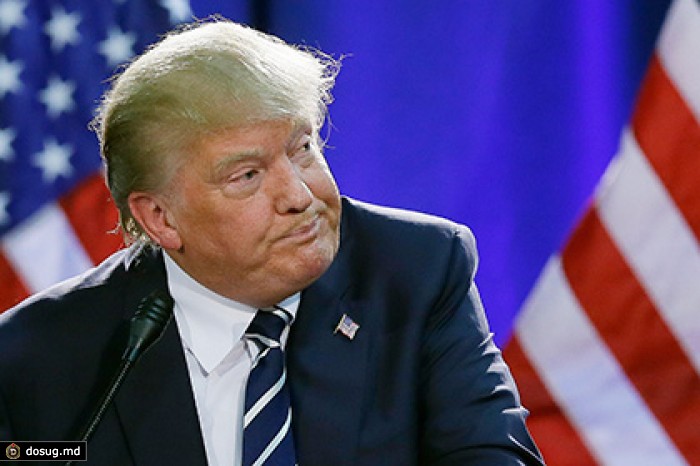 Дональда Трампа уличили в покупке критикующих его доменных имен