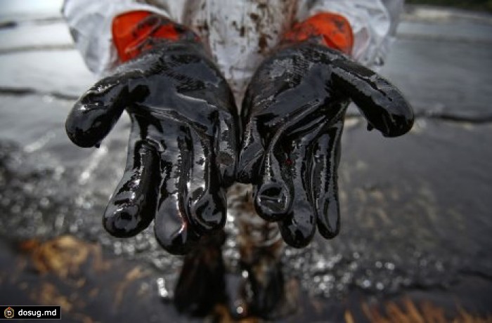 Экологи сообщают о крупном разливе нефти на Сахалине