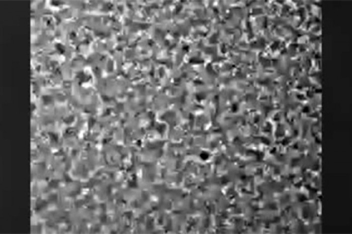 «Флешмоб» бактерий показали на видео