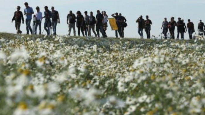 Франция потребовала объяснений от бельгийского посла