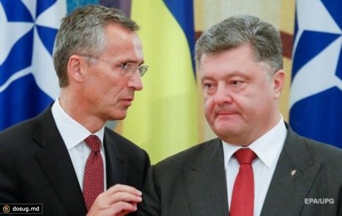 Генсек НАТО предложил Украине "хорошую альтернативу" членству в альянсе